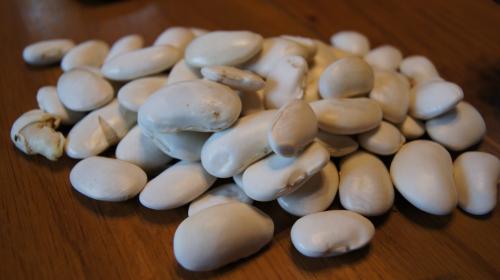 Quelques fèves de Haricots d'Espagne blancs